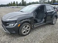 KM8K6CAB0PU947725 2023 HYUNDAI KONA