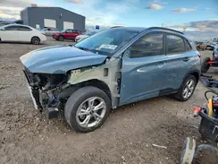 KM8K6CAB0PU951032 2023 HYUNDAI KONA
