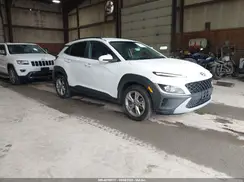 KM8K6CAB0PU954853 2023 HYUNDAI KONA