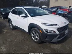 KM8K6CAB0PU955906 2023 HYUNDAI KONA