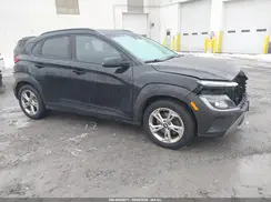KM8K6CAB0PU961253 2023 HYUNDAI KONA