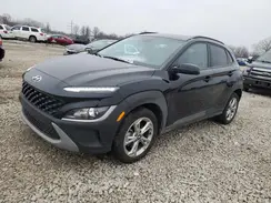 KM8K6CAB1PU050946 2023 HYUNDAI KONA