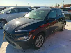 KM8K6CAB2PU996778 2023 HYUNDAI KONA