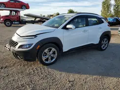 KM8K6CAB3NU835563 2022 HYUNDAI KONA