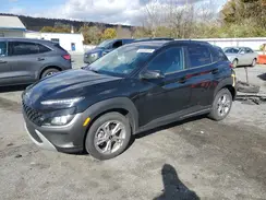 KM8K6CAB4PU041609 2023 HYUNDAI KONA