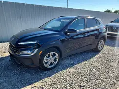 KM8K6CAB4PU053579 2023 HYUNDAI KONA