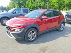 KM8K6CAB5PU059990 2023 HYUNDAI KONA