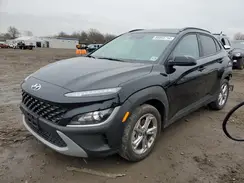 KM8K6CAB6PU042454 2023 HYUNDAI KONA