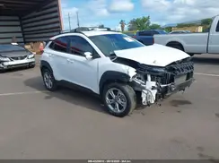 KM8K6CAB8PU038521 2023 HYUNDAI KONA