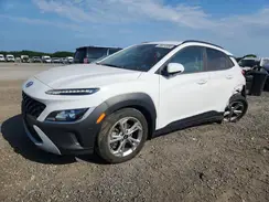 KM8K6CABXPU943892 2023 HYUNDAI KONA