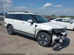 KM8P2DG11RU056836 2024 HYUNDAI SANTA FE