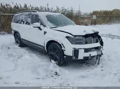 KM8P5DG19RU034221 2024 HYUNDAI SANTA FE