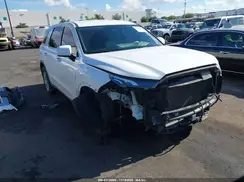 KM8R14HE4MU209831 2021 HYUNDAI PALISADE