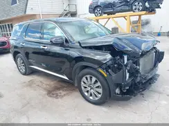 KM8R1DGE2PU533625 2023 HYUNDAI PALISADE