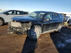 KM8R1DGE2RU713514 2024 HYUNDAI PALISADE