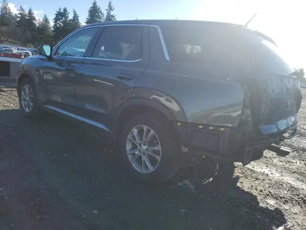 KM8R1DHE0LU029891 2020 HYUNDAI PALISADE - Image 2