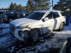 KM8R1DHE0LU056282 2020 HYUNDAI PALISADE