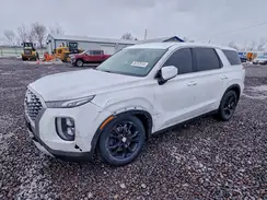KM8R1DHE2LU036602 2020 HYUNDAI PALISADE