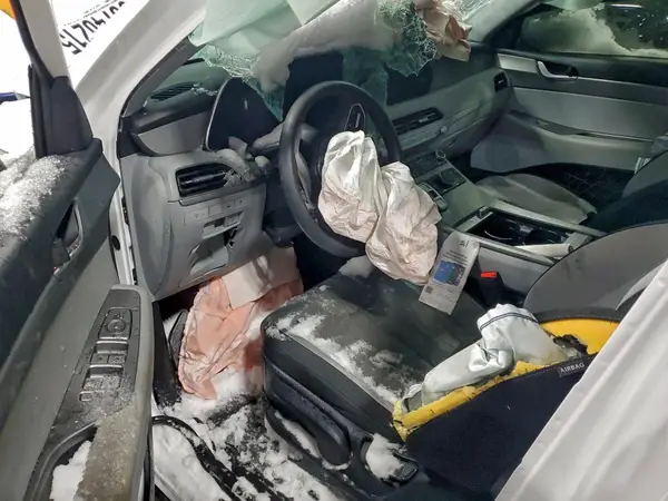 KM8R1DHE3LU065655 2020 HYUNDAI PALISADE - Image 8