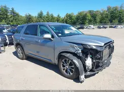 KM8R1DHE5LU067908 2020 HYUNDAI PALISADE