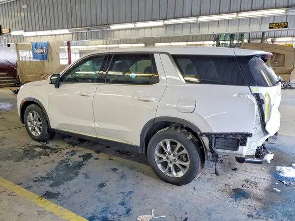 KM8R1DHE7LU044436 2020 HYUNDAI PALISADE - Image 2