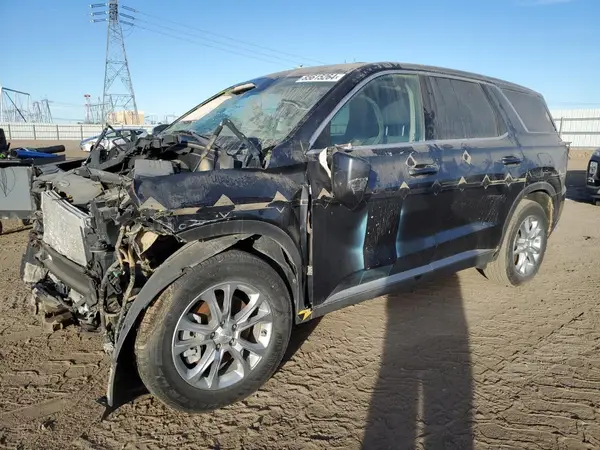 KM8R1DHE8LU070849 2020 HYUNDAI PALISADE - Image 1
