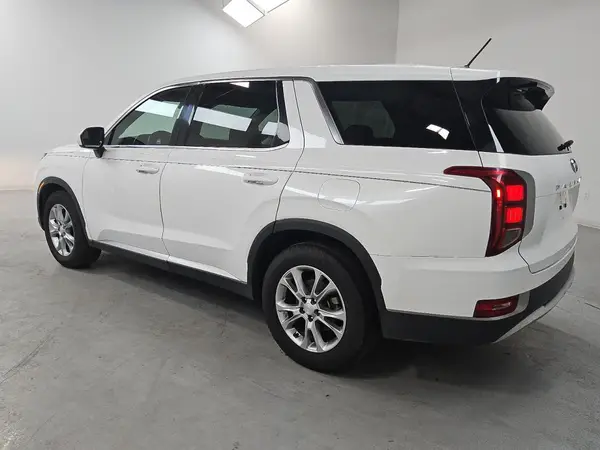 KM8R1DHE8LU073394 2020 HYUNDAI PALISADE - Image 2