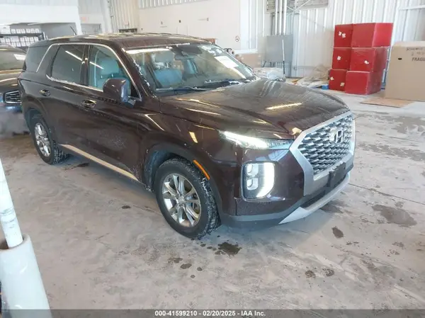 KM8R1DHE9LU030666 2020 HYUNDAI PALISADE - Image 1
