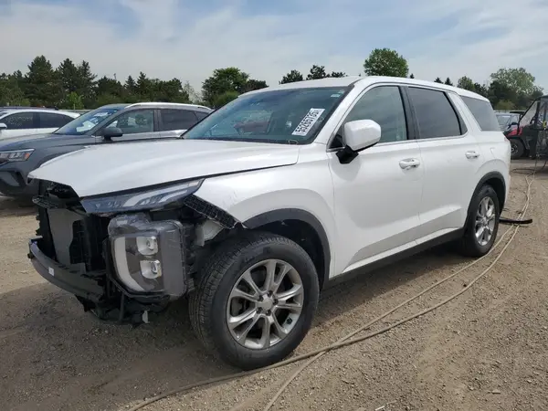 KM8R1DHEXLU065619 2020 HYUNDAI PALISADE - Image 1