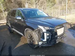 KM8R24GE0RU788189 2024 HYUNDAI PALISADE