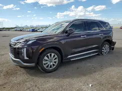 KM8R24GE0SU828227 2025 HYUNDAI PALISADE