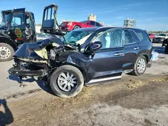 KM8R24GE0SU844878 2025 HYUNDAI PALISADE