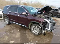 KM8R24GE2PU565231 2023 HYUNDAI PALISADE