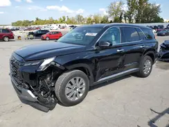 KM8R24GE4SU841028 2025 HYUNDAI PALISADE