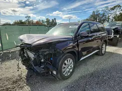 KM8R24GEXSU817008 2025 HYUNDAI PALISADE