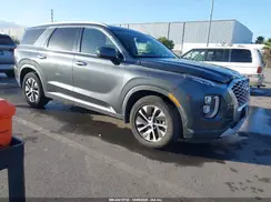 KM8R24HE4LU143423 2020 HYUNDAI PALISADE