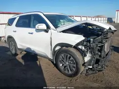 KM8R24HE5LU096872 2020 HYUNDAI PALISADE