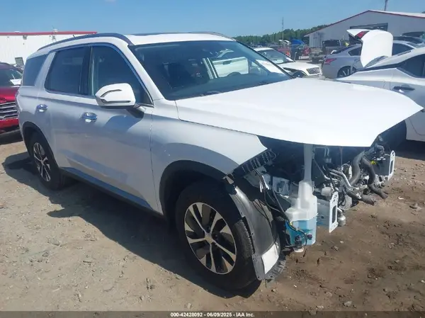 KM8R24HE9LU051546 2020 HYUNDAI PALISADE - Image 1