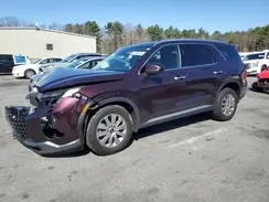 KM8R2DGE1PU612894 2023 HYUNDAI PALISADE