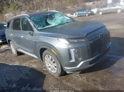 KM8R2DGE1SU897900 2025 HYUNDAI PALISADE