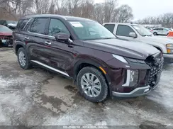 KM8R2DGE2SU845160 2025 HYUNDAI PALISADE