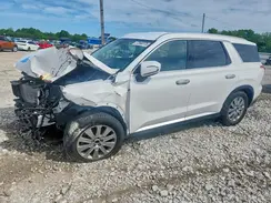 KM8R2DGE4RU719392 2024 HYUNDAI PALISADE