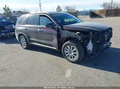 KM8R2DGE4RU790656 2024 HYUNDAI PALISADE