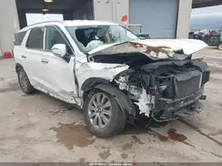 KM8R2DGE6PU508207 2023 HYUNDAI PALISADE