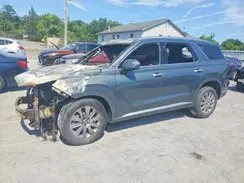 KM8R2DGE8PU518799 2023 HYUNDAI PALISADE
