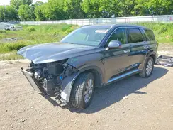 KM8R2DGE9RU681187 2024 HYUNDAI PALISADE