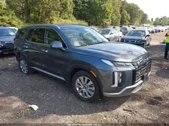 KM8R2DGE9SU825133 2025 HYUNDAI PALISADE