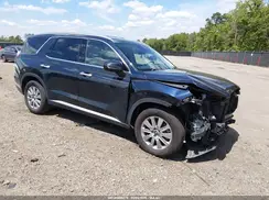 KM8R2DGEXPU513233 2023 HYUNDAI PALISADE