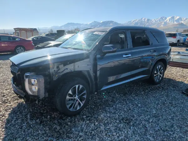 KM8R2DHE4LU051096 2020 HYUNDAI PALISADE - Image 1