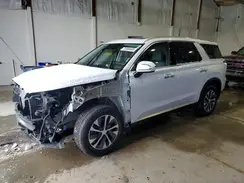 KM8R2DHE8LU095098 2020 HYUNDAI PALISADE